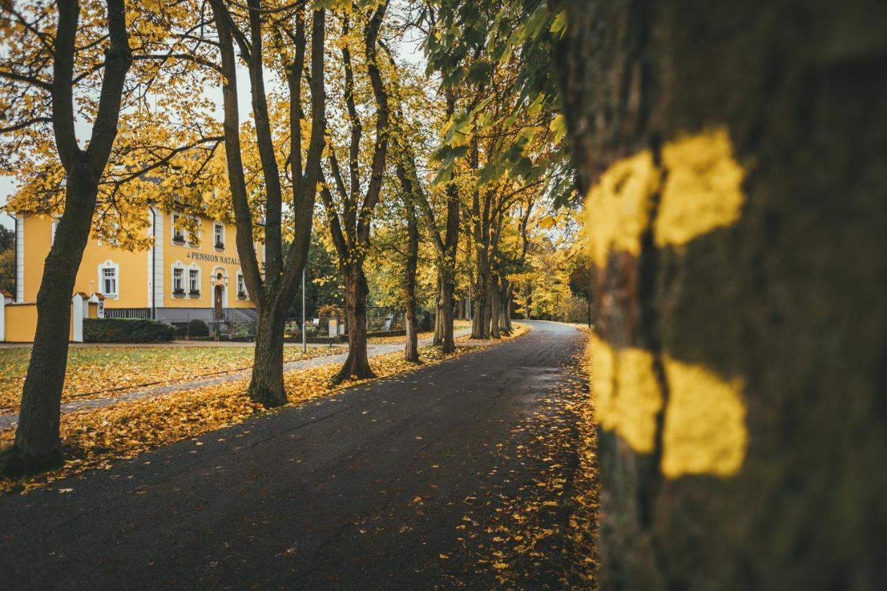Apartmany Natalie Františkovy Lázně Eksteriør billede