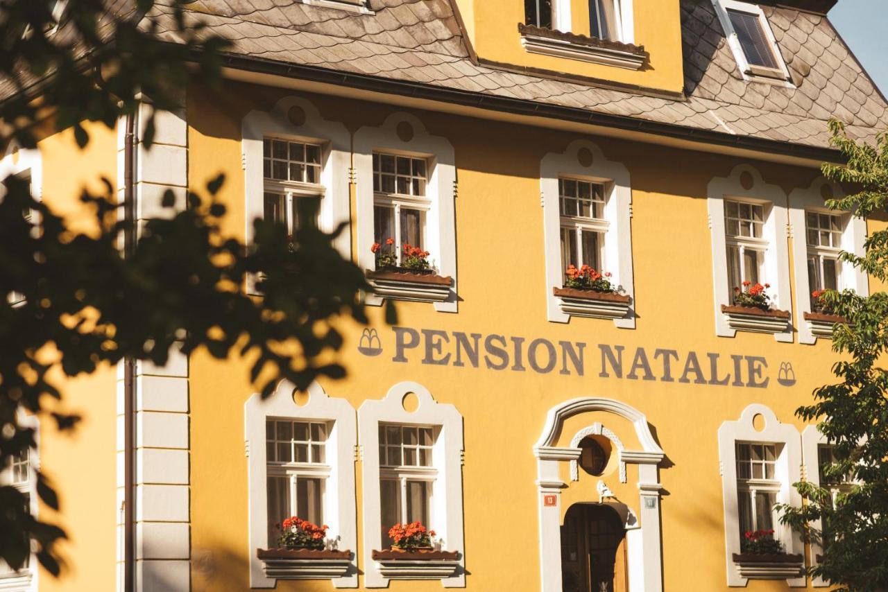 Apartmany Natalie Františkovy Lázně Eksteriør billede